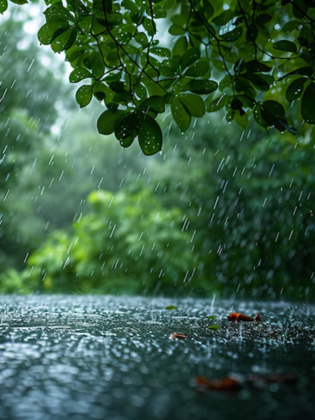 19-20-21-22 और 23 जून को अति भारी बारिश, 5 दिनों के लिए IMD का हाई अलर्ट, इन इलाकों में होगी बहुत भारी बारिश