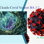 Cicada Covid variant BA.3.2